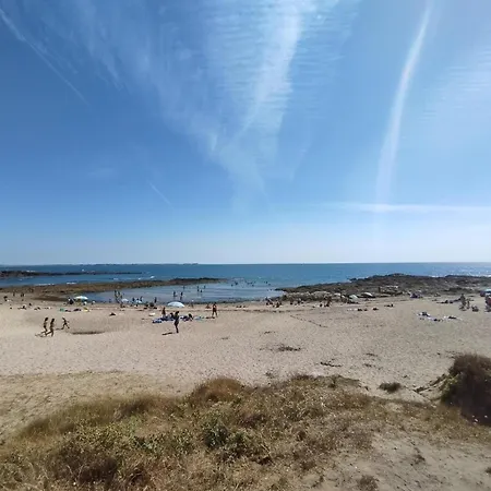 Campingplads Mobil-home Savina 2023 - 2 Ch, 2 Sdb Piriac-sur-Mer